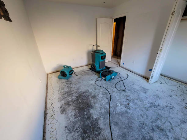 Best 24-hour water damage restoration  in Green Bay, WI