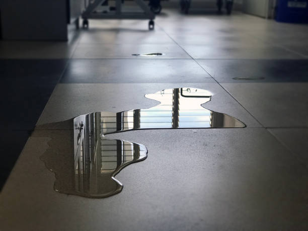 Best Water damage restoration near me  in Green Bay, WI