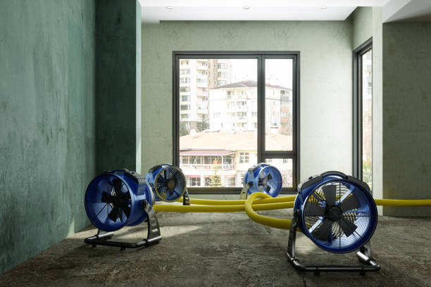 Best Water damage cleanup near me  in Green Bay, WI